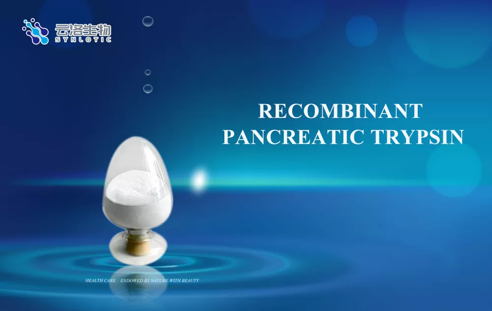 Mennyit tud az enzimek szerepéről az emberi egészségben?