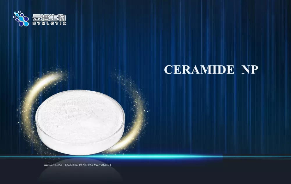 Hogyan támogatja a Ceramide NP a bőrvédő ápolást a modern kozmetikában?