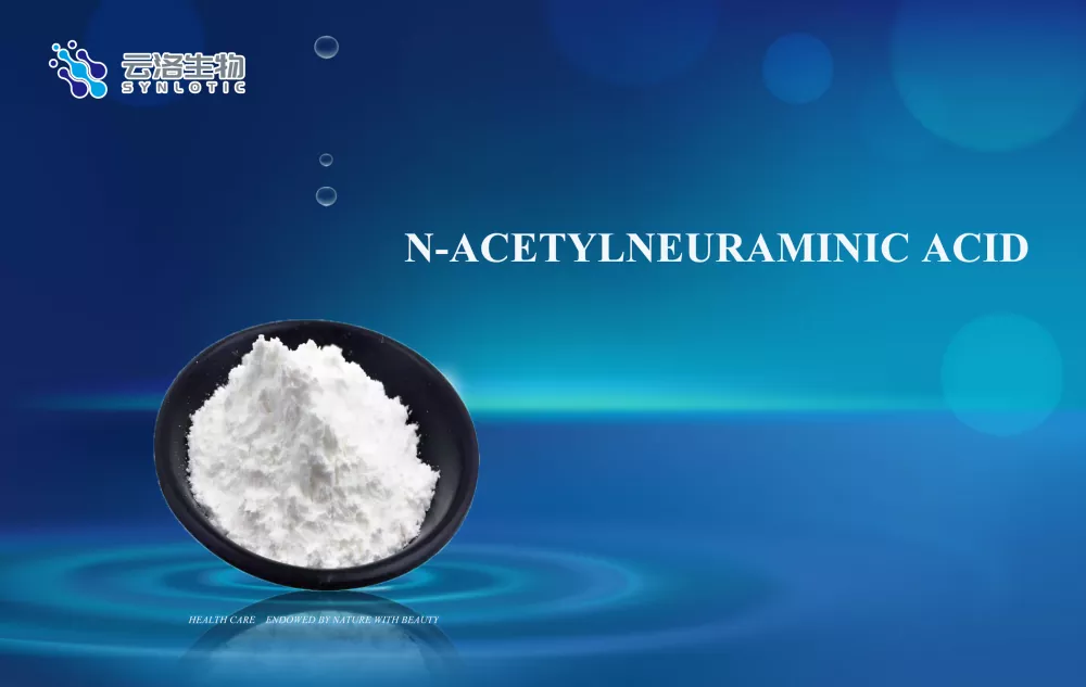 N-acetilneuraminsav
