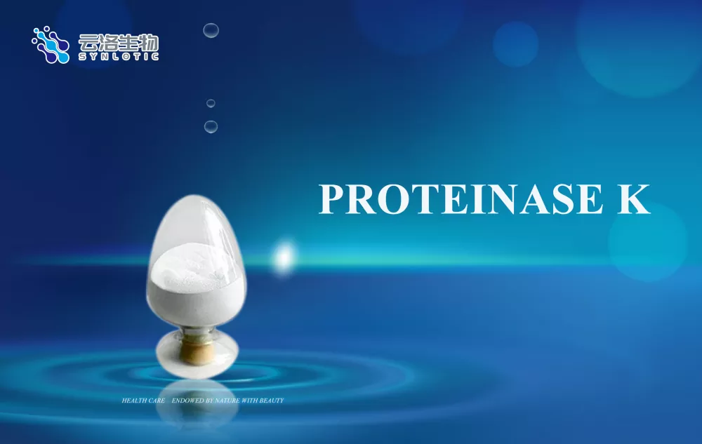 Proteináz K